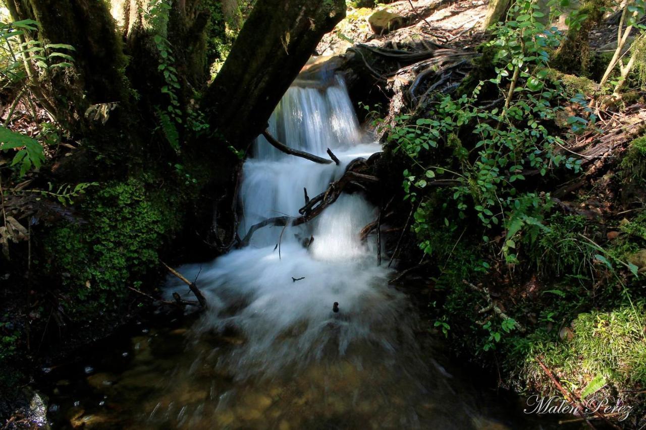 Lecalau